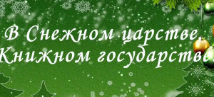 В Снежном царстве, Книжном государстве!