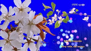 Виктор Королёв - Хочу тебя как весны