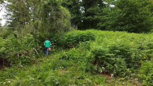 Покос ажины, расчистка забора и прилегающей територии