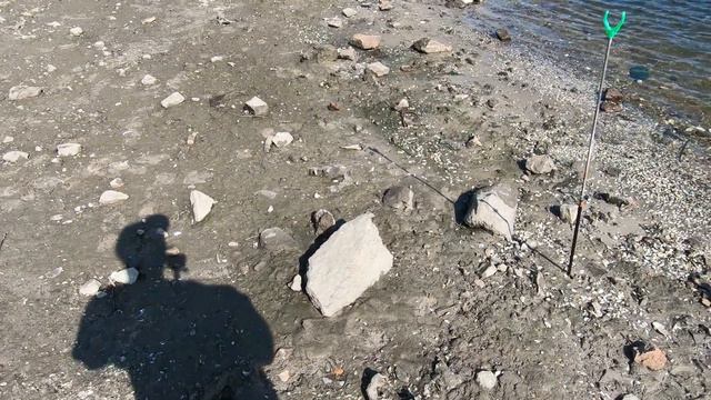 ЗАПОРОЖЬЕ РЫБАЛКА НА ДНЕПРЕ КЛЕВ ТАРАНИ 05.09.2023