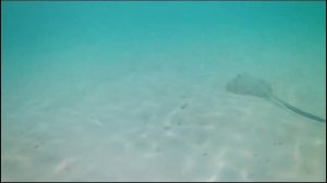 Barcelò Whale Lagoon Maldives 2024