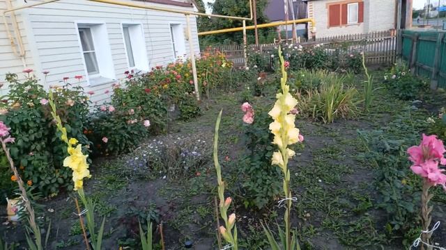 Жизнь в деревне/Не судите,судимы не будете/Муж работает,делаю заготовки/Новые стулья в кухню смотреть онлайн