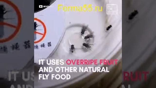 Супер ловушка для мух