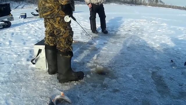 Снегоход:Не большая поездка смотреть онлайн