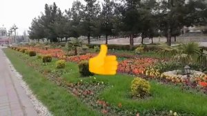Душанбе / Ул. Негмат Карабаева / Цирк