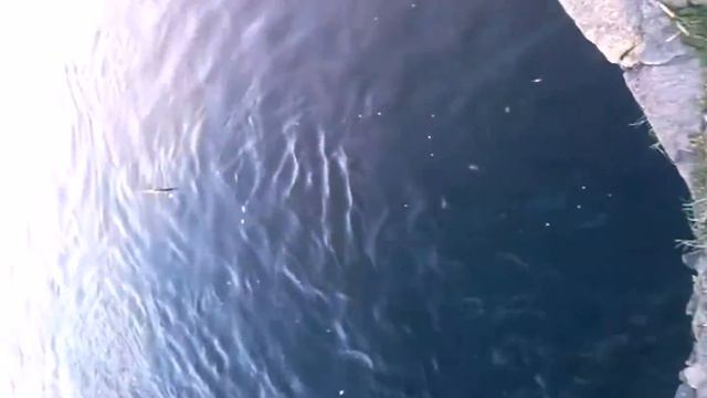 рыбалка, воблера, наживка, приманка....fishing, a wobbler, bait, the bait смотреть онлайн