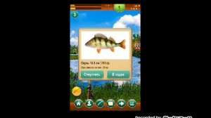 Прохождение игры Крутой рыбак #1 (Артем 2004)