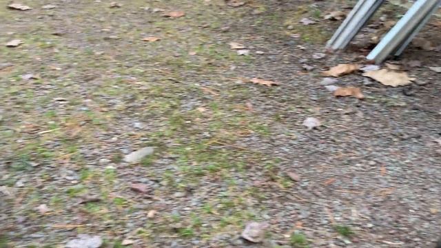 История о дружбе домашних животных смотреть онлайн