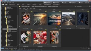 Работа в ACDSee / Переименование картинок