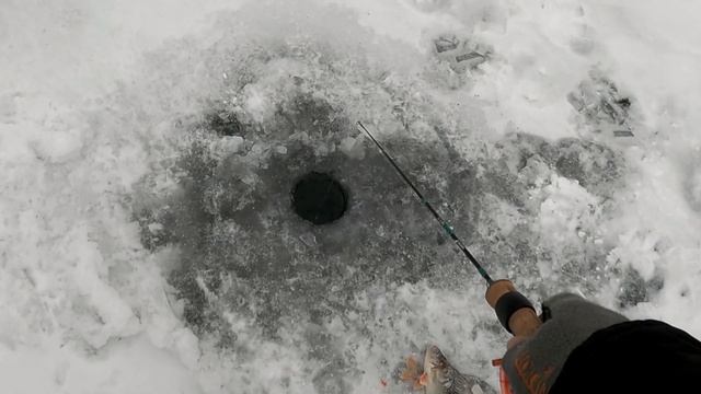 Ловля окуня на озере и раскачка лунки. Зимняя рыбалка 2021-22, первый лед. смотреть онлайн
