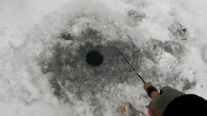 Ловля окуня на озере и раскачка лунки. Зимняя рыбалка 2021-22, первый лед.