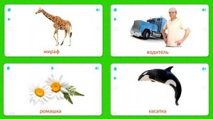 Божья Коровка - Карточки для детей - Насекомые - Карточки Домана