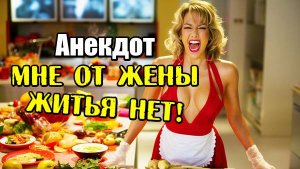 Анекдот про жену. Три новых анекдота.