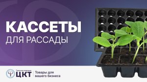 Кассеты для рассады