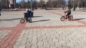 Гуляем и катаемся на МонстрТраки
