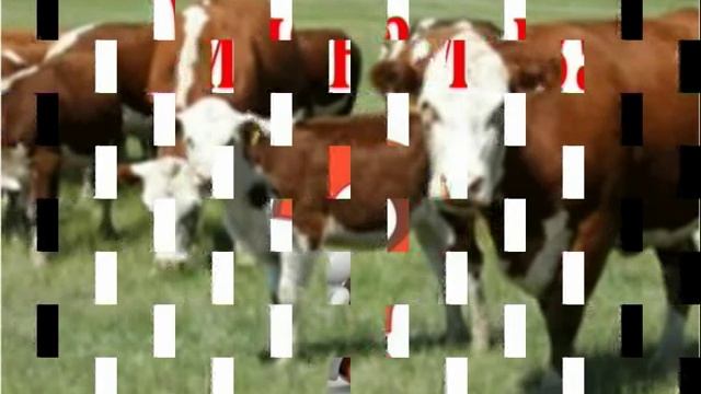 Садик үй жануарлары смотреть онлайн