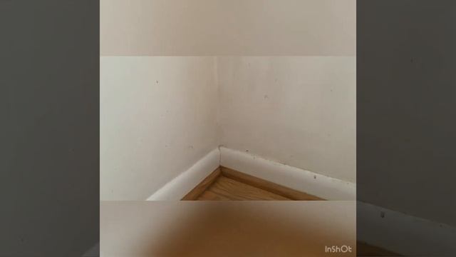 git the bets pokemon I can find ? смотреть онлайн