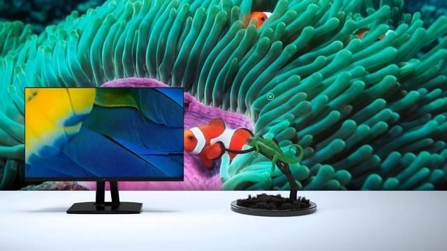 Get Precise With ViewSonic ColorPro VP2785-2K смотреть онлайн