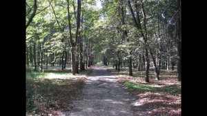 Автозаводский парк глазами Нижегородца