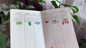 ? КАК НАЧАТЬ ПРАВИЛЬНО ВЕСТИ ЕЖЕДНЕВНИК BULLET JOURNAL