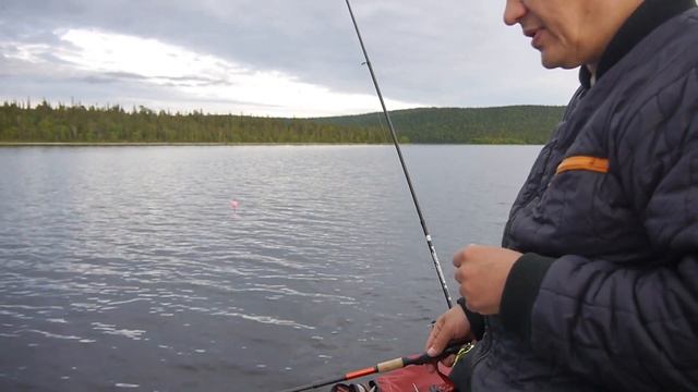 окунь на мормышку летом смотреть онлайн