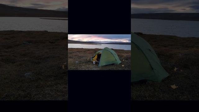 Trout and Northern Lights