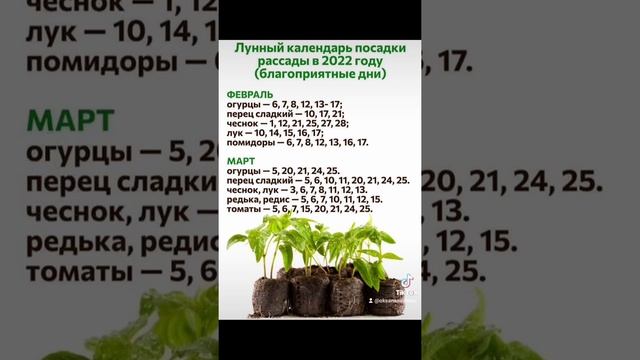 Лунный календарь посадки рассады в 2022г. (благоприятные дни).