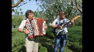 Баян Barcarole Professional "Калины куст"