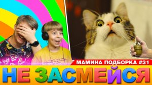 КОТ и БОМБА! НЕ ЗАСМЕЙСЯ ЧЕЛЛЕНДЖ // Смотрим смешные видео или МАМИНА  ПОДБОРКА #31