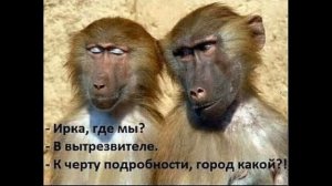 Освежим память | Как разговаривать с коллекторами по телефону