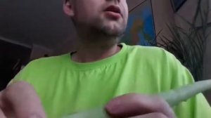 Алоэ от геморроя