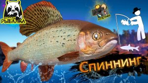 РР4/ рыбалка для души, ловим как универсал, общаемся 17.04.23