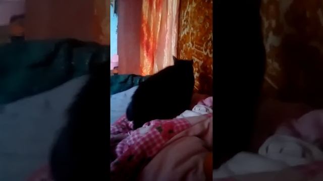 Бесплатный массаж от Ночки!