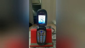 Samsung SGH-X480 будильник\Samsung SGH-X480 alarm