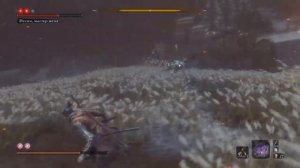 Sekiro™: Shadows Die Twice Финальный босс Мастер меча Иссин Асина