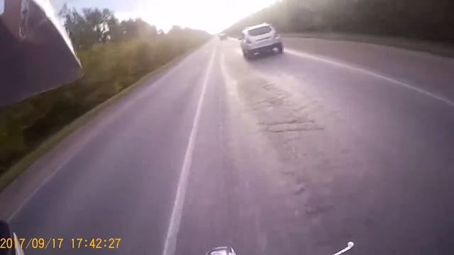 Койот прёт? смотреть онлайн