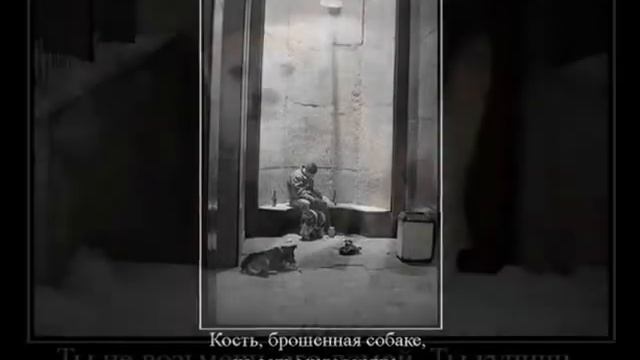 Не только люди бывают одинокими смотреть онлайн