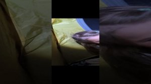 с Мией в палатке