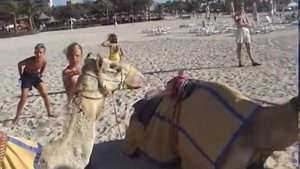 Dubai 2001Chameau Darius Mimi Arianna