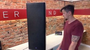Обзор акустической системы INVOTONE DSX215A. Покупаем?
