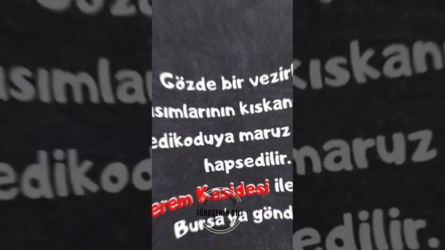 ~EDEBİYAT MAGAZİN~                                           15. YY ŞAİRİ AHMET PAŞA