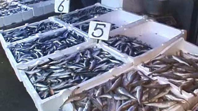 © Рыбный рынок в Трабзоне (Турция) // Fish market in Trabzon (Turkey)