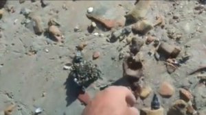 Днепр в районе Каховского водохранилища мелеет все больше.