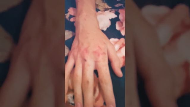 ? ?Боевой Котик царапает нам руки? ?