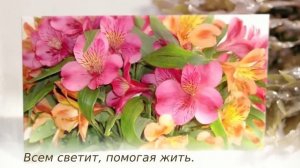 Очень красивое поздравление для женщины с юбилеем  55 лет