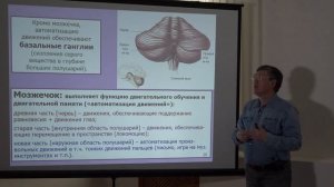 1. Дубынин В. А. - Физиология потребностей - Физиология потребностей.mp4