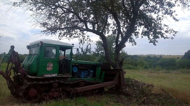 корчевание пней яблони трактором Т 74 и экскаватором юмз 2022 смотреть онлайн