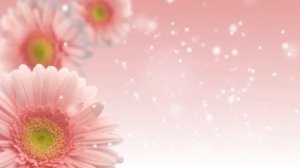 ФУТАЖ Фон с цветами - Footage Background with flowers