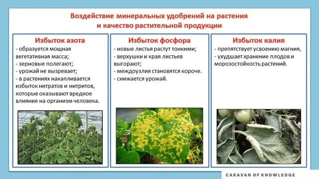 Минеральные удобрения STEAM урок