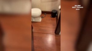 The Best Pranks of 2021 FailArmy